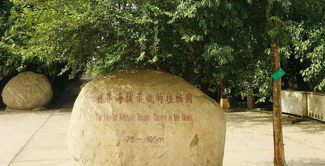 中国植物园植物多样性保护功能的4个特征