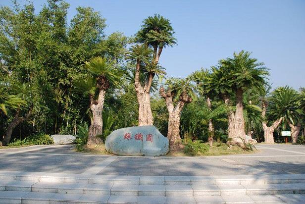 中国植物园植物多样性保护空间的2个格局