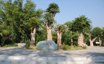 中国植物园植物多样性保护空间的2个格局