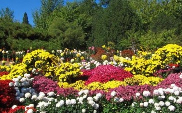 中国植物园发展与3个研究现状