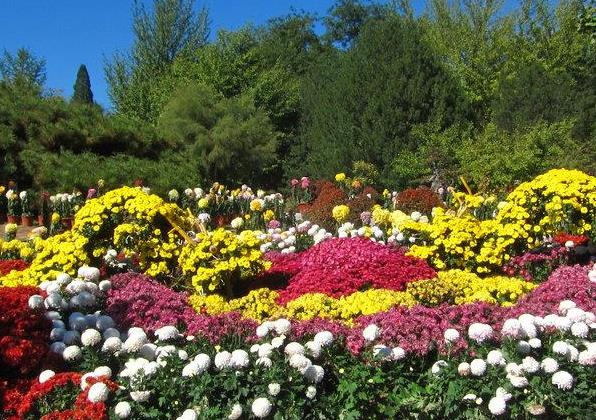 中国植物园发展与3个研究现状