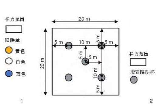 乡村人工林下草本植物对节肢动物多样性的3个影响