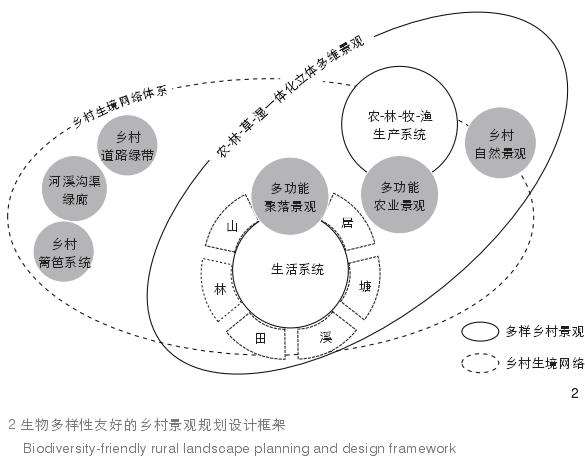 乡村生物多样性的6个保护策略及应用