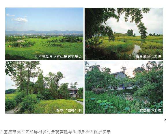 乡村生物人与自然协同调节的6个机制