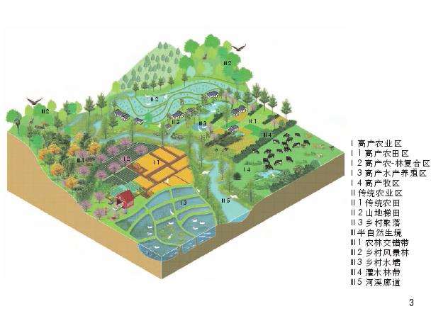 乡村生物人与自然协同调节的6个机制