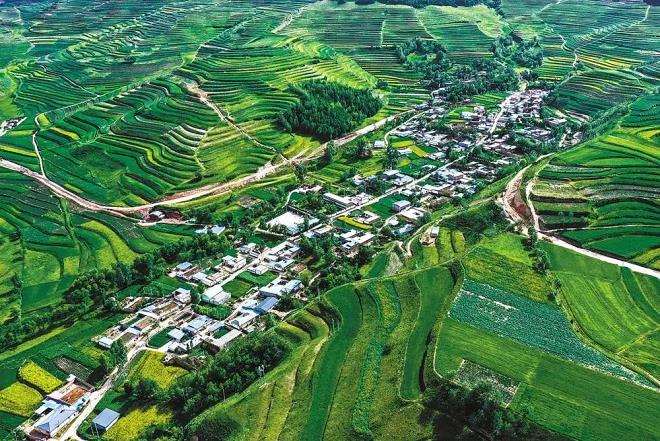 乡村生物多样性怎么维持的2个机制