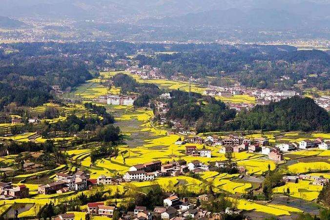 乡村生物多样性变化趋势及5个影响因子