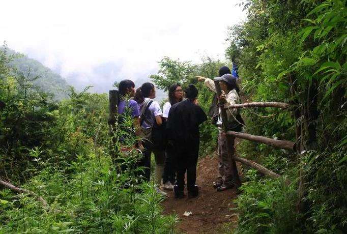 乡村物种多样性的3个主要特征表现