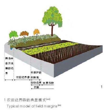 昆虫传粉对作物生境与非作物生境的3个协同管控