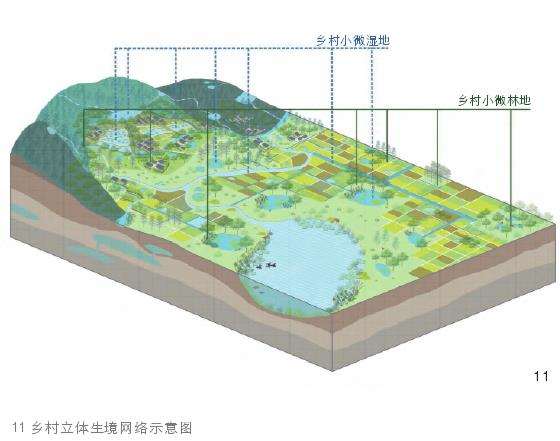四川乡野杂草多样性怎么保护的5个策略
