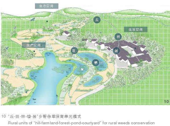 四川乡野杂草多样性怎么保护的5个策略