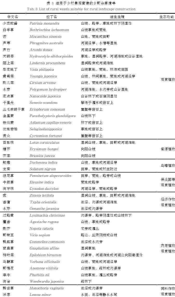 四川乡野杂草多样性怎么保护的5个策略