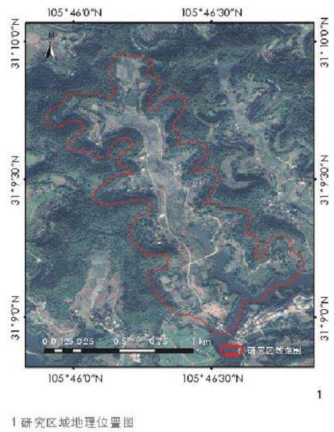 四川乡野杂草多样性特征与3个保护策