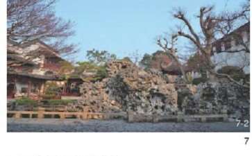 叠石假山营建中怎么种植设计的3个方法