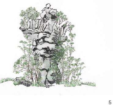 叠石假山营建中怎么种植设计的5个方法