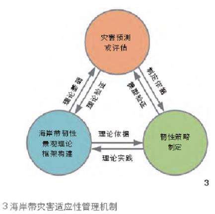 中国海岸带韧性景观的3个理论研究