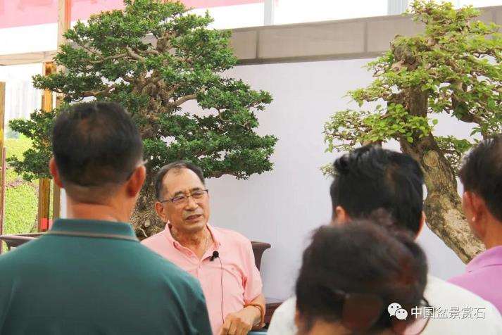 2023 第十届云南省盆景展