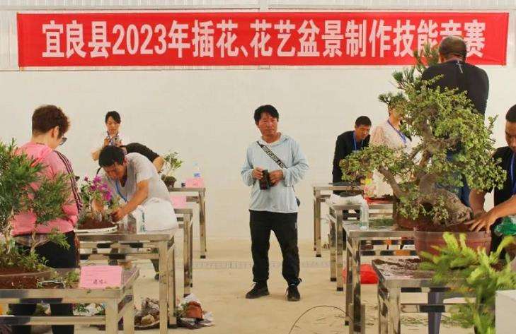 2023 第十届云南省盆景展