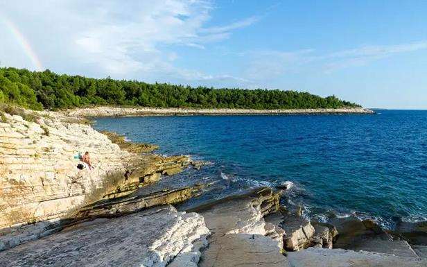 活岸线全生命周期管理框架的完善建议