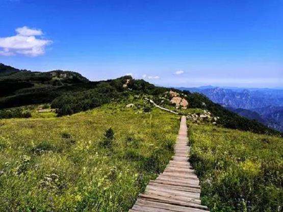 百花山自然草甸的物种的4个组成启示