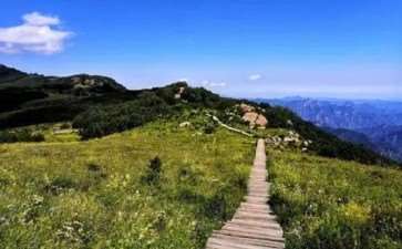 百花山自然草甸的物种的4个组成启示