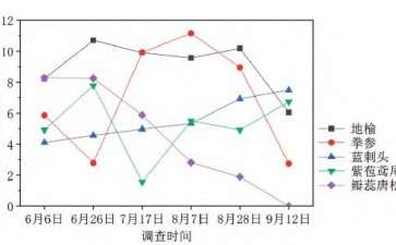 百花山自然草甸的4个季相变化