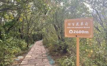 百花山自然草甸群落结构的3个研究方法