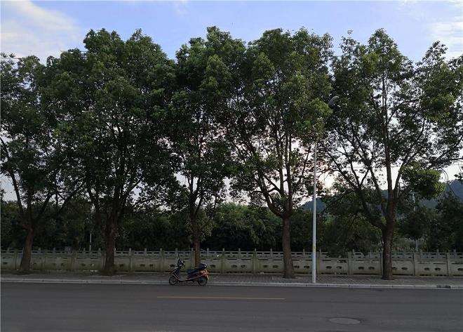 杭州市政设施未能科学排布 