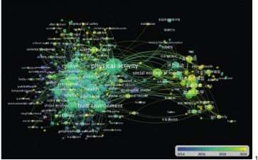 绿色空间对体力活动的3个影响机制