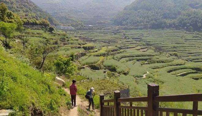 国土空间治理视角下浙江传统村落的3个保护策略