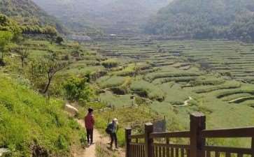 国土空间治理视角下浙江传统村落的3个保护策略