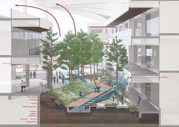 小型景观空间微气候分析的讨论与展望