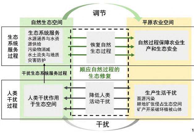 平原农业区乡村生态修复思考与逻辑