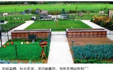 荷兰绿色照料农场模式分析