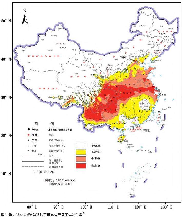 木香花在中国实际分布情况与可能原因