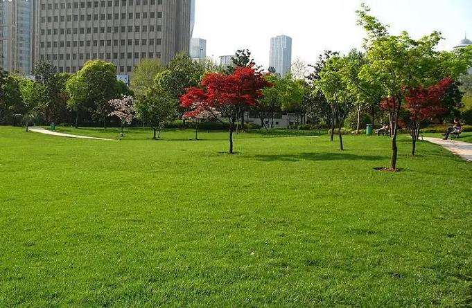 非正式绿地识别技术面临的问题与挑战