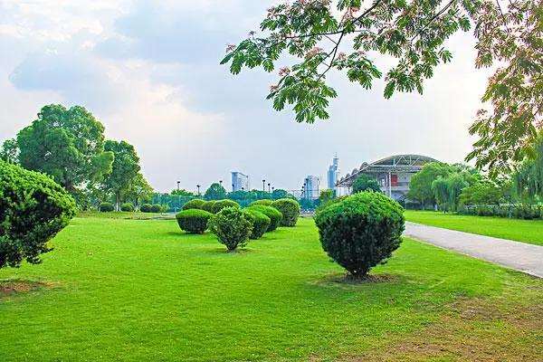 公园绿地交互作用对游憩服务获得的影响