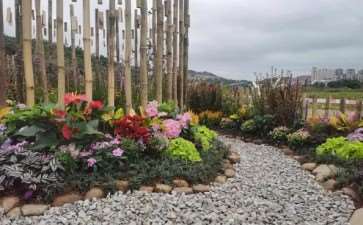 北方花境怎么养护管理的3个方法