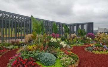 北方花境怎么营造的5个技术要点