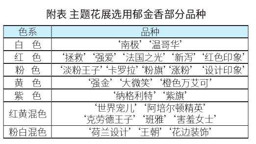 南湖景区郁金香主题花展