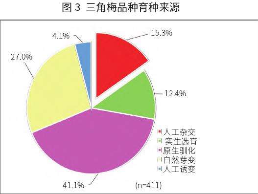 三角梅的500个品种数量与来源现状