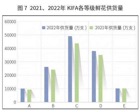 云南切花生产规模持续提升