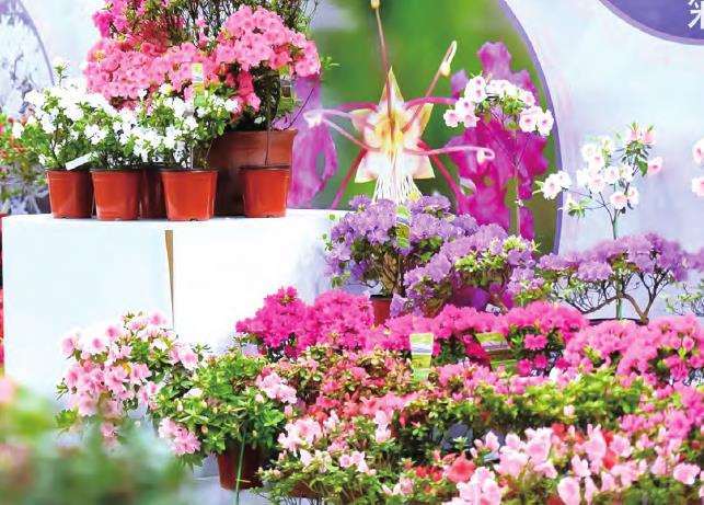 2023中国萧山举办花木节