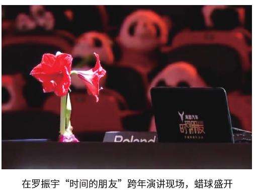 南美种球进入推动朱顶红蜡球蹿红