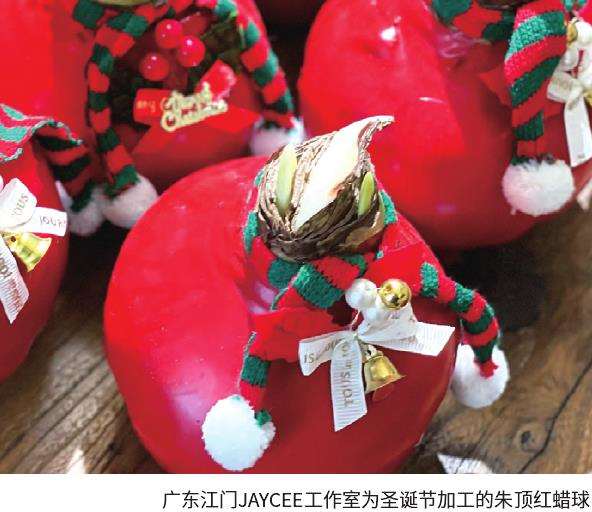 说说网红礼物—蜡封朱顶红