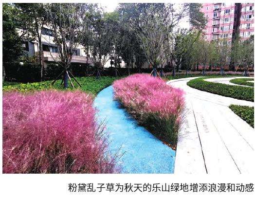 上海徐汇乐山花园绿地的3个改造过程