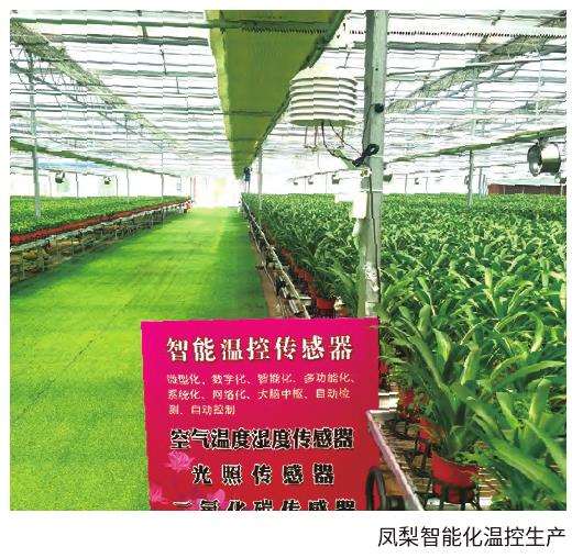 设施要素促进花卉全链集群发展