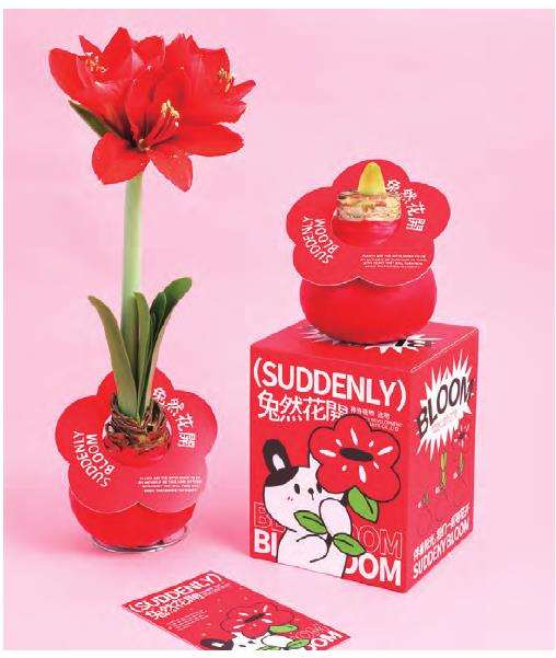 梁生他们与植物产品结缘的桥梁是花盆