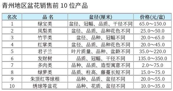 2023年2月青州盆花市场 交易回暖