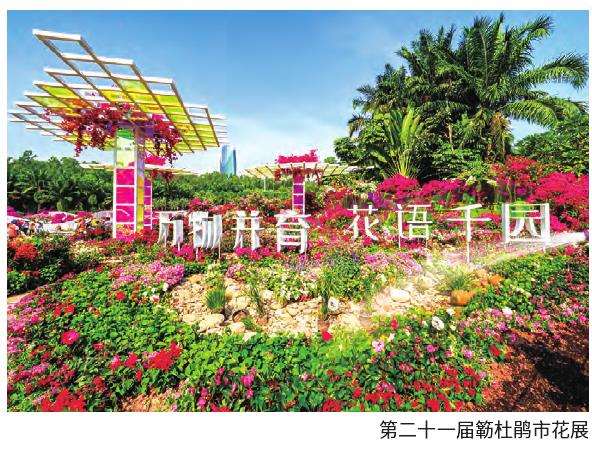 踏寻花展景观纵观深圳园林发展